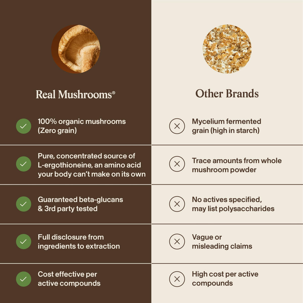 Produits biologiques de champignons, présentation