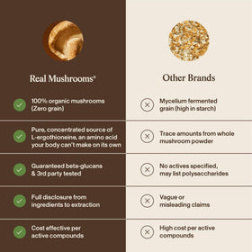 Produits biologiques de champignons, présentation