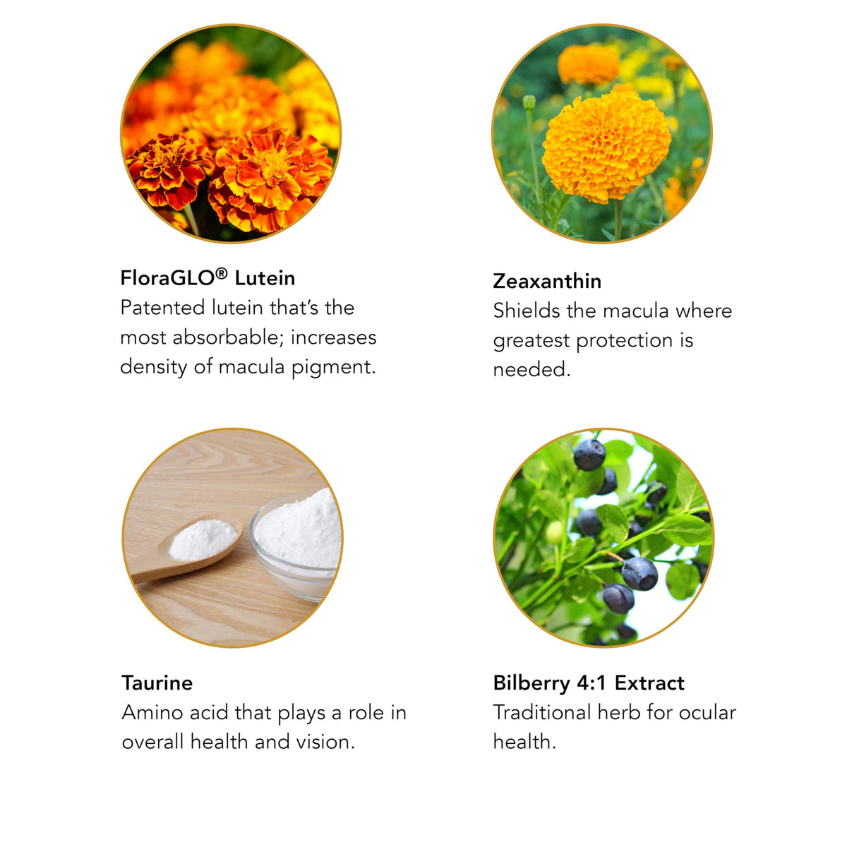 Profil du flacon de Botanic Choice Luteine et Myrtille 60 capsules