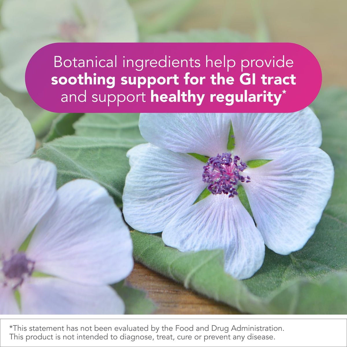 Proflora 4R Probiotique Spore 30 capsules, ingrédients sur l'étiquette
