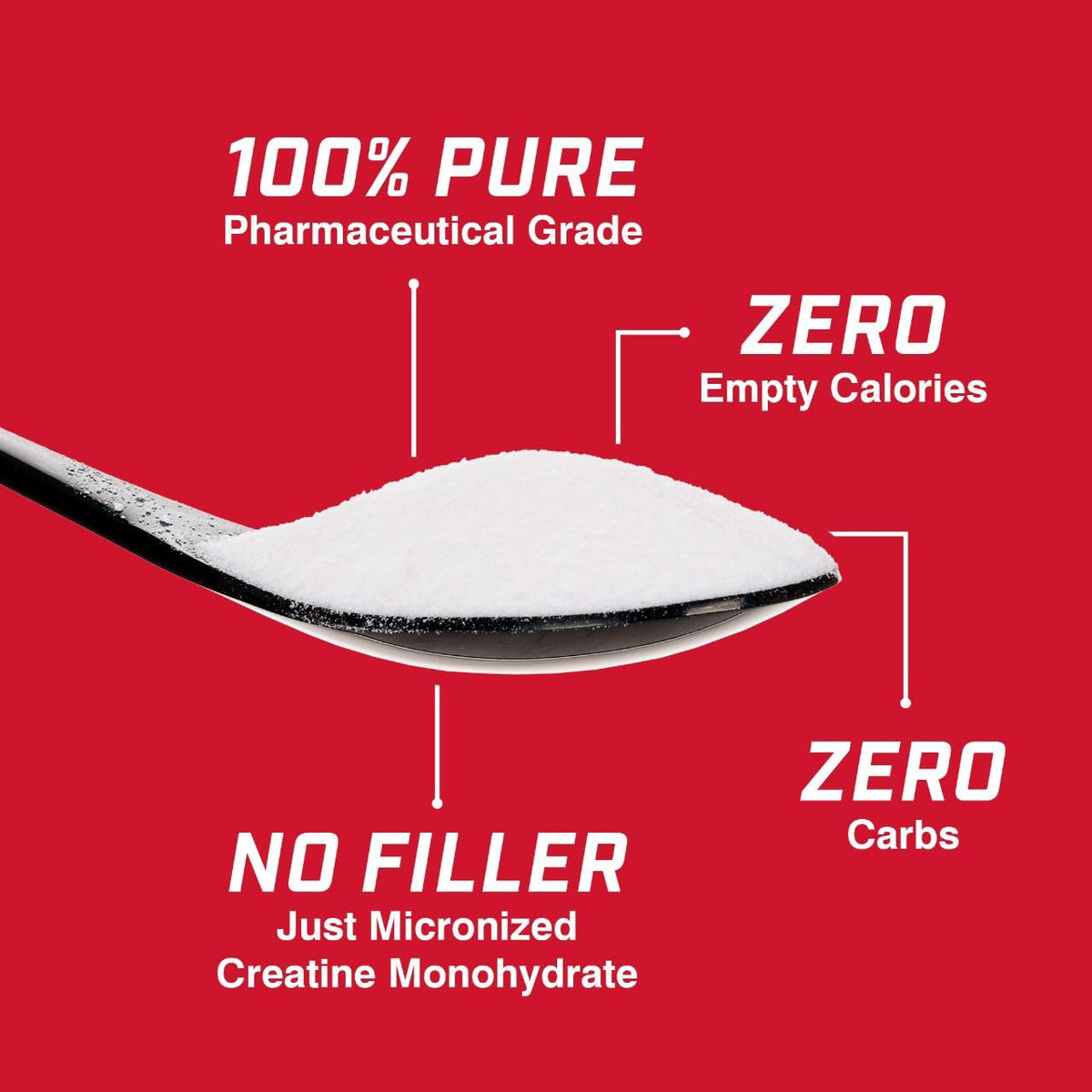 ProLab Créatine Monohydrate Poudre 1000g étiquette détaillée