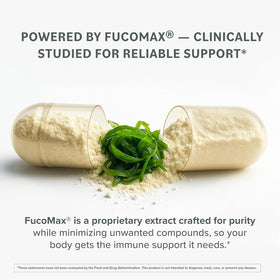 Prominent Nutrition Fucoidan 250 mg 120 capsules avec des algues brunes