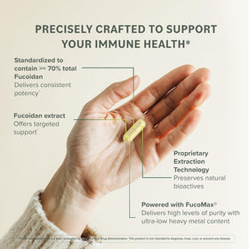 Prominent Nutrition Fucoidan 250 mg 120 capsules vue arrière