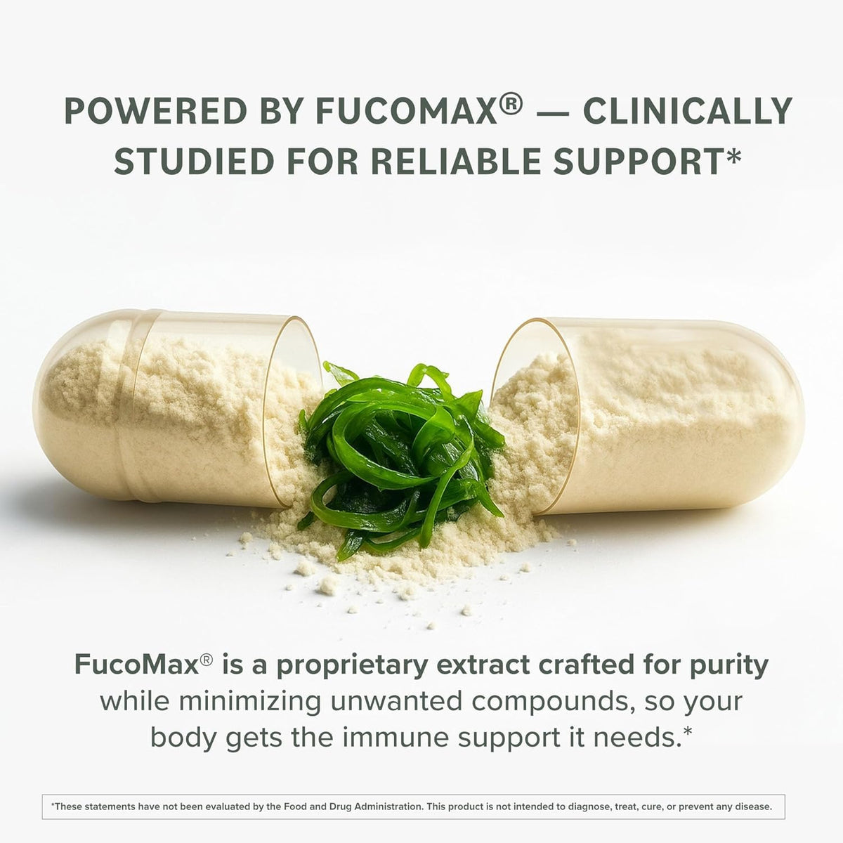 Prominent Nutrition Fucoidan 250 mg, étiquette avec ingrédients