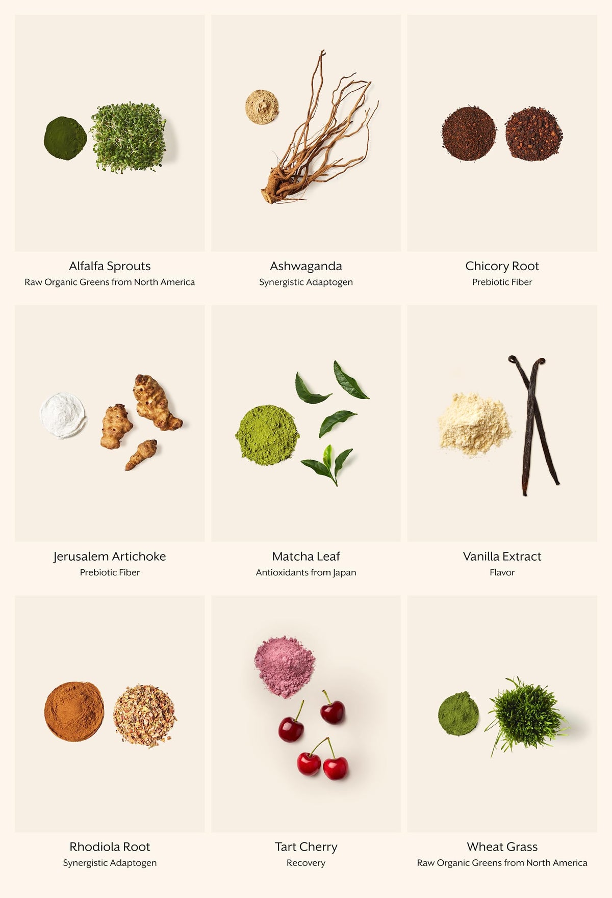 ProMix Nutrition Poudre de Superfood Verts - utilisation dans une routine quotidienne