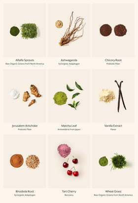 ProMix Nutrition Poudre de Superfood Verts - utilisation dans une routine quotidienne