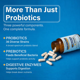 Proriginal Probiotiques 120 milliards CFU 30 capsules ouvertes