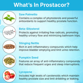Prostacor Complément Alimentaire Prostate 41g avec ingrédients naturels