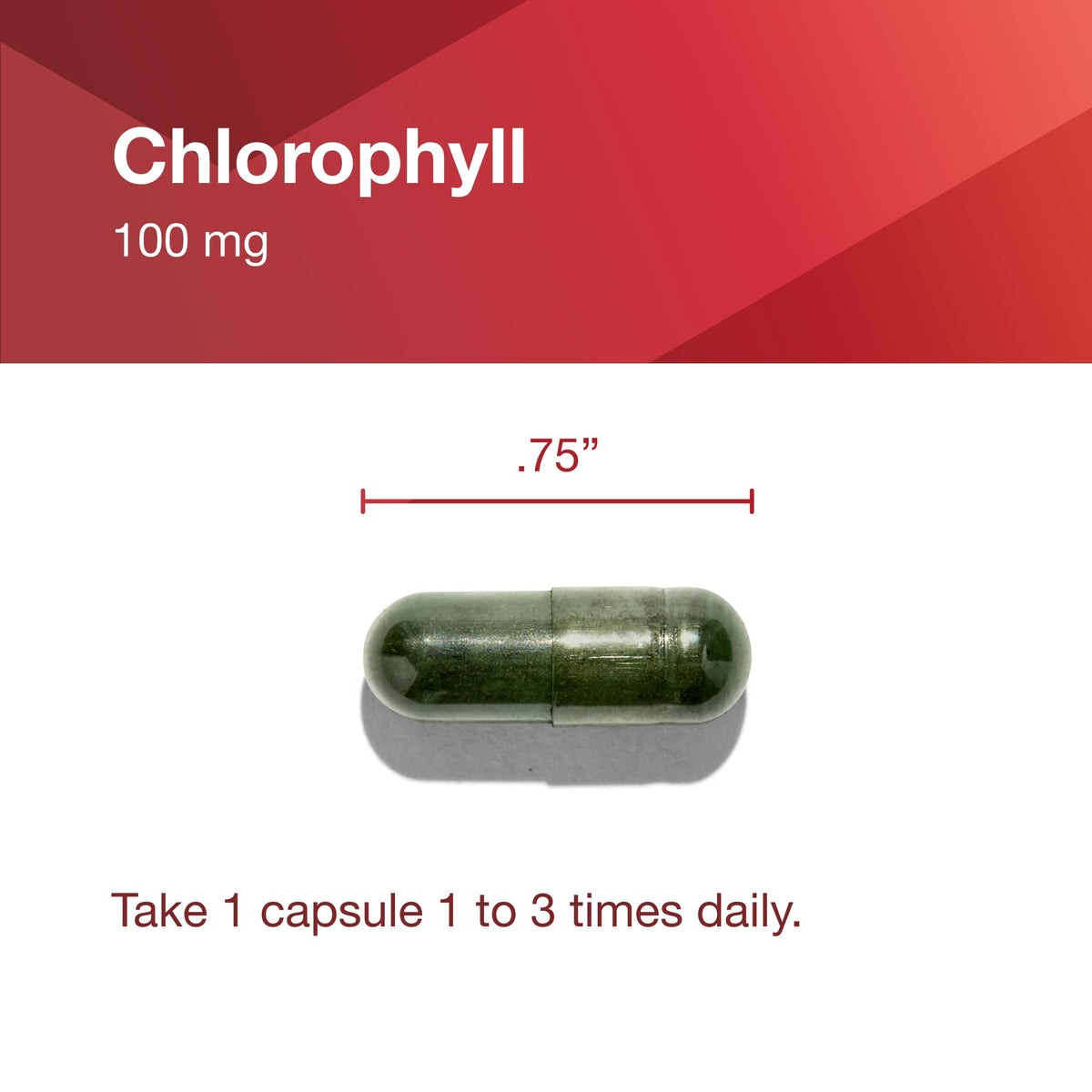 PROTOCOL FOR LIFE BALANCE chlorophylle 100mg vue de haut