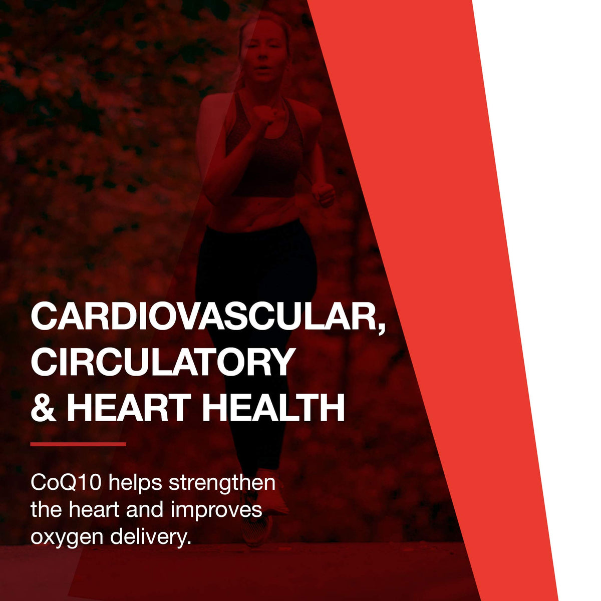 PROTOCOL FOR LIFE BALANCE CoQ10 600mg gélules molles en main