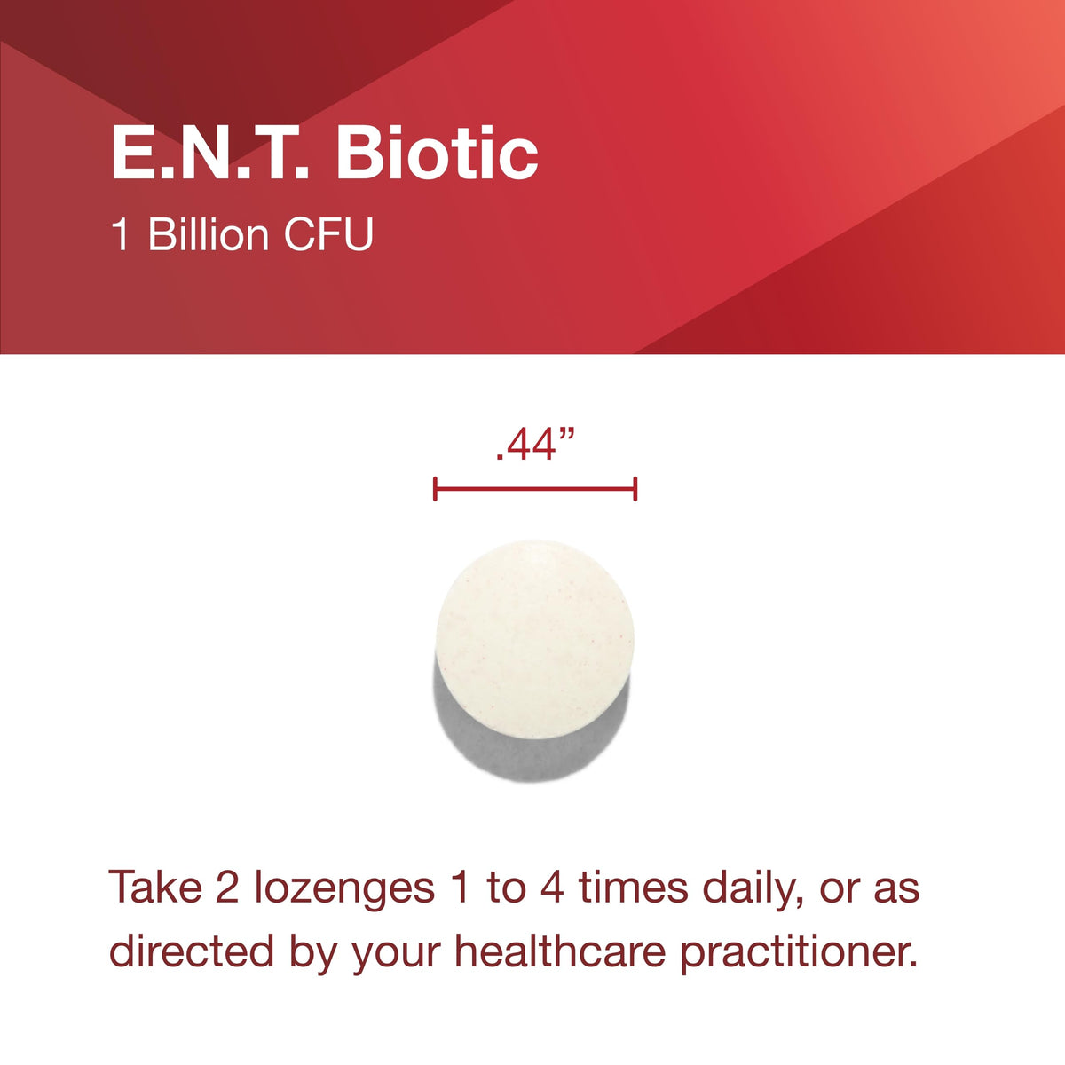 PROTOCOL FOR LIFE BALANCE E.N.T. Biotic Probiotic on a table