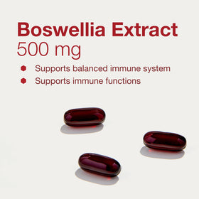 PROTOCOL FOR LIFE BALANCE Extrait de Boswellia 500mg gélules avec emballage