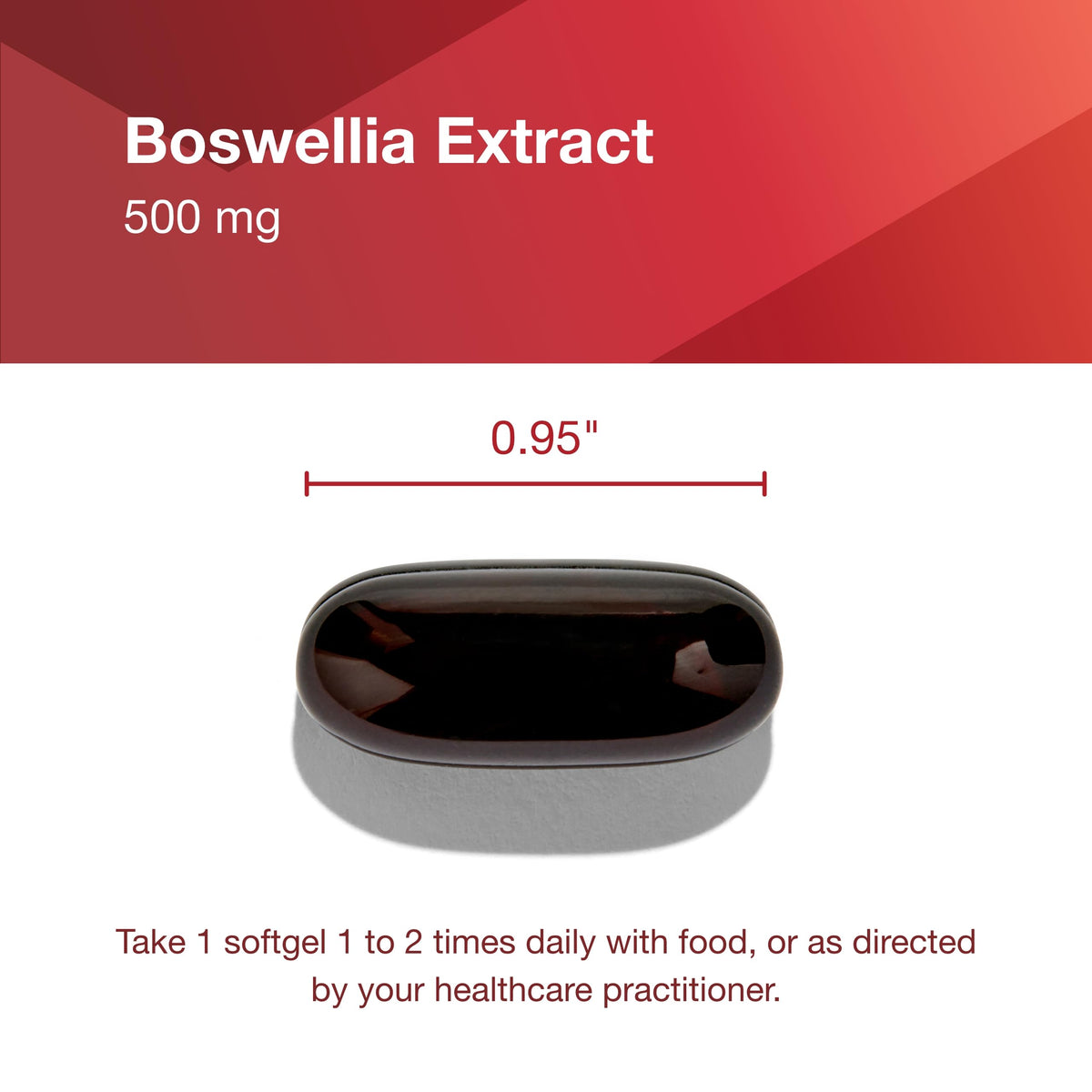 PROTOCOL FOR LIFE BALANCE Extrait de Boswellia 500mg gélules avec huile MCT
