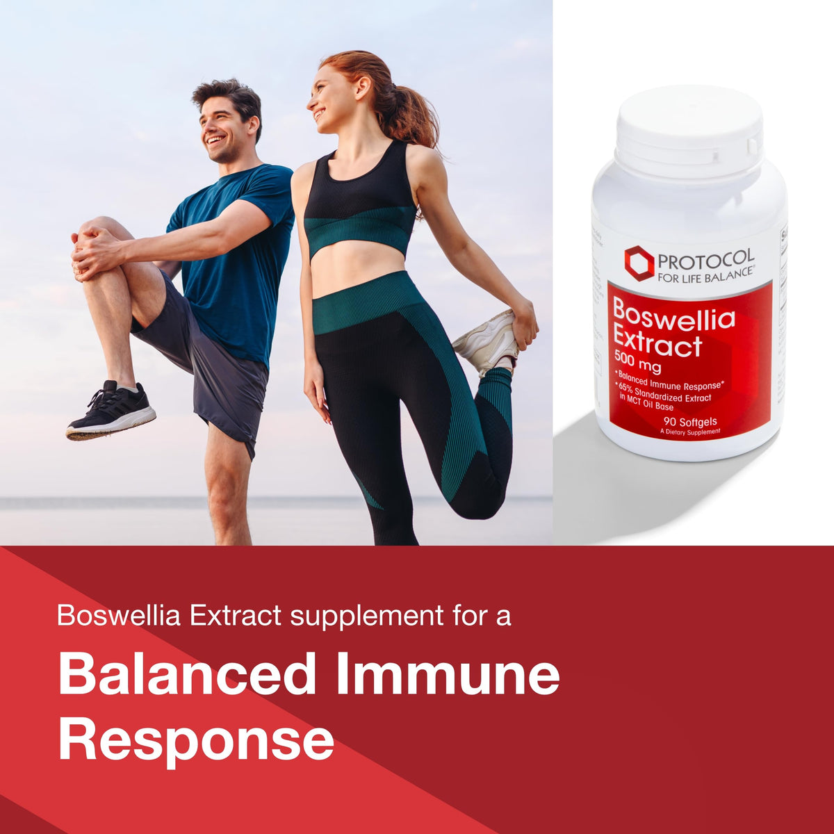 PROTOCOL FOR LIFE BALANCE Extrait de Boswellia 500mg gélules côté