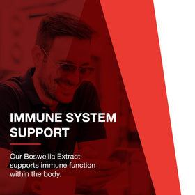 PROTOCOL FOR LIFE BALANCE Extrait de Boswellia 500mg gélules en usage