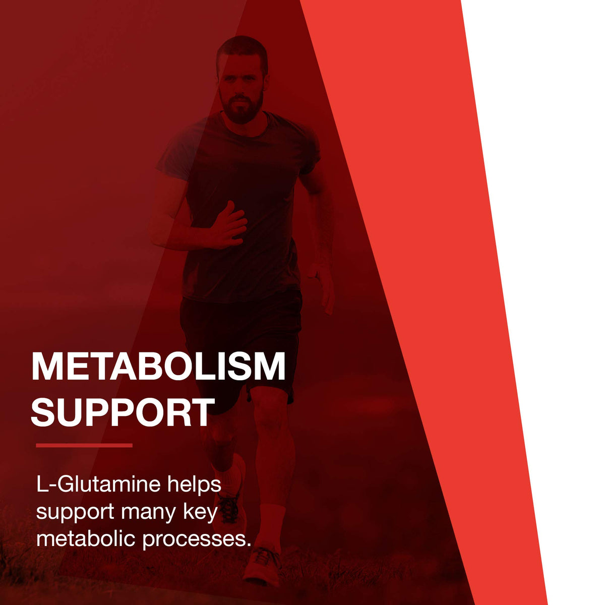 PROTOCOL FOR LIFE BALANCE L-Glutamine 1 000 mg capsules végétales avec d'autres compléments