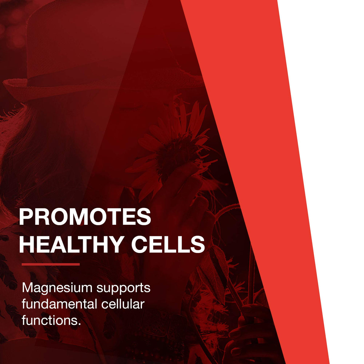 PROTOCOL FOR LIFE BALANCE Magnésium Citrate 400 mg en milieu naturel
