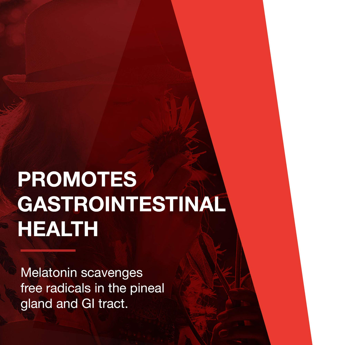 PROTOCOL FOR LIFE BALANCE Melatonin 3mg comprimés à mâcher sur un fond neutre