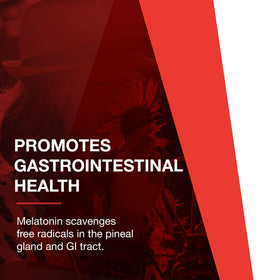 PROTOCOL FOR LIFE BALANCE Melatonin 3mg comprimés à mâcher sur un fond neutre