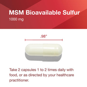 PROTOCOL FOR LIFE BALANCE MSM 1 000 mg mise en scène avec d'autres compléments
