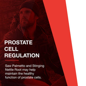 PROTOCOL FOR LIFE BALANCE Ortho Prostate sur un fond neutre