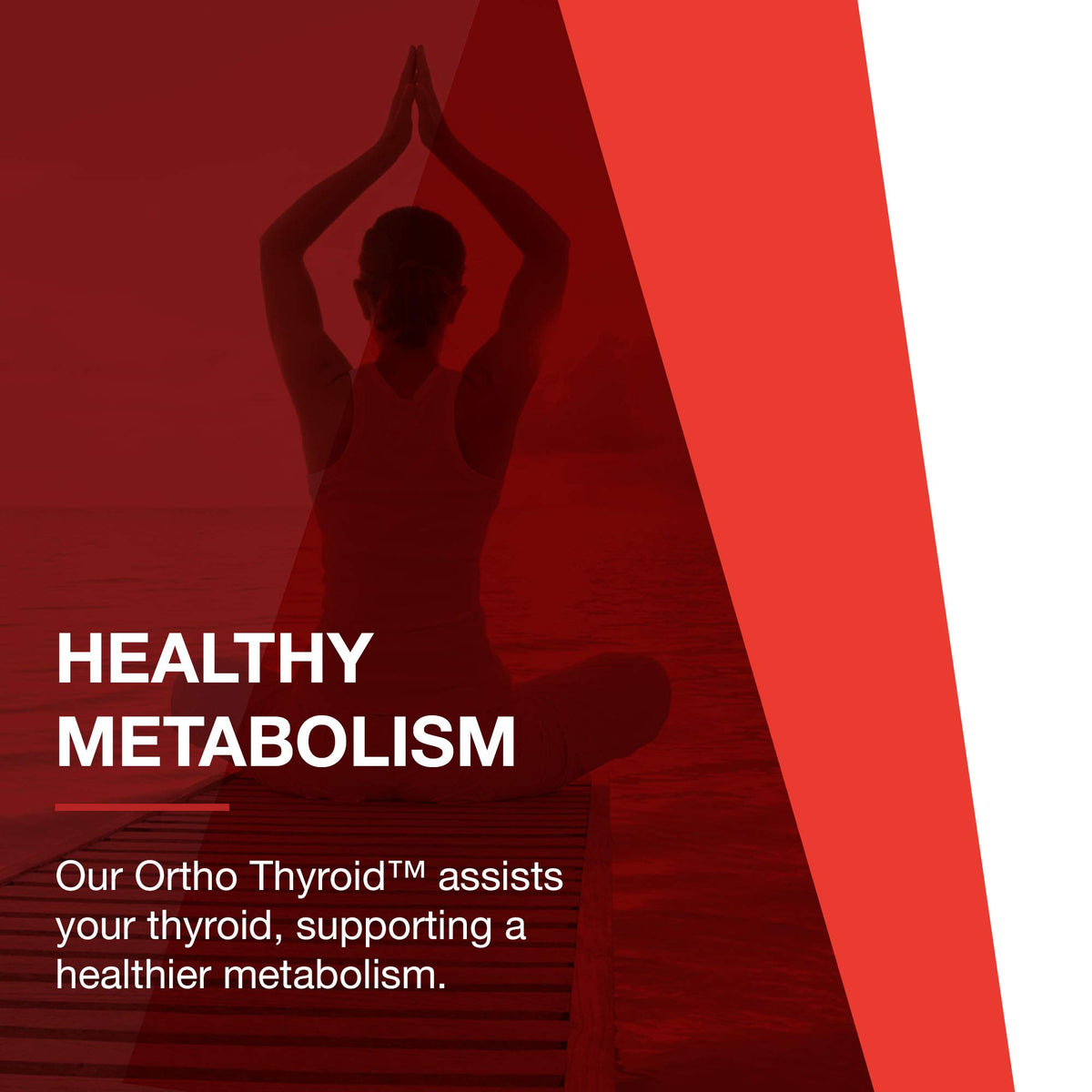 PROTOCOL FOR LIFE BALANCE Ortho Thyroid 90 Caps - zone de prise