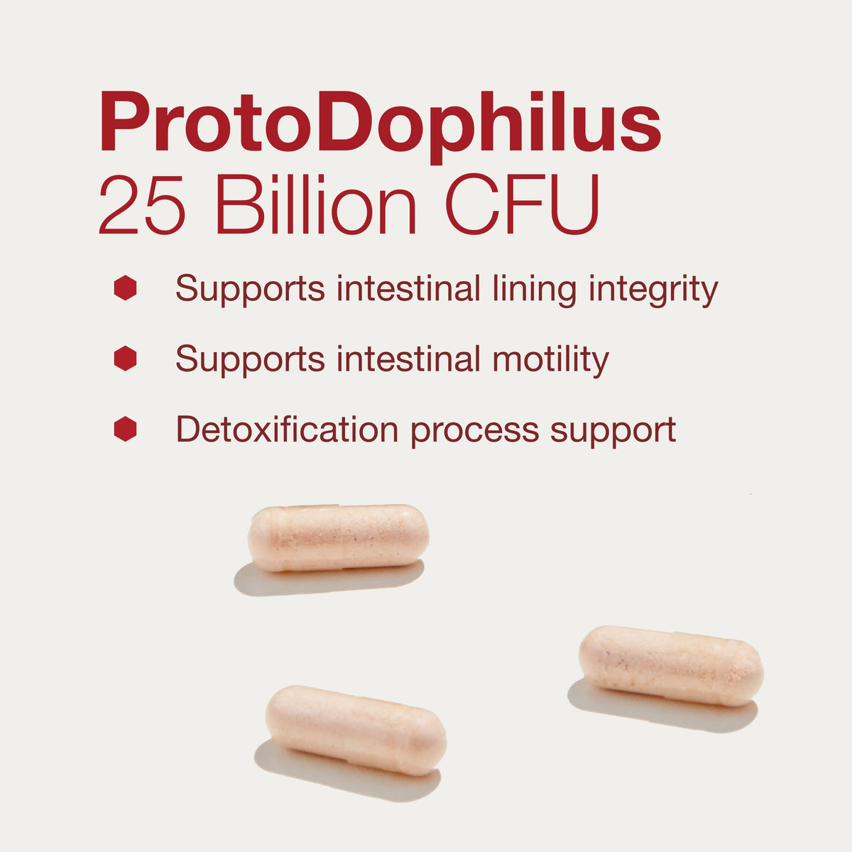 PROTOCOL FOR LIFE BALANCE ProtoDophilus 25 Milliards - Vue arrière de l'emballage