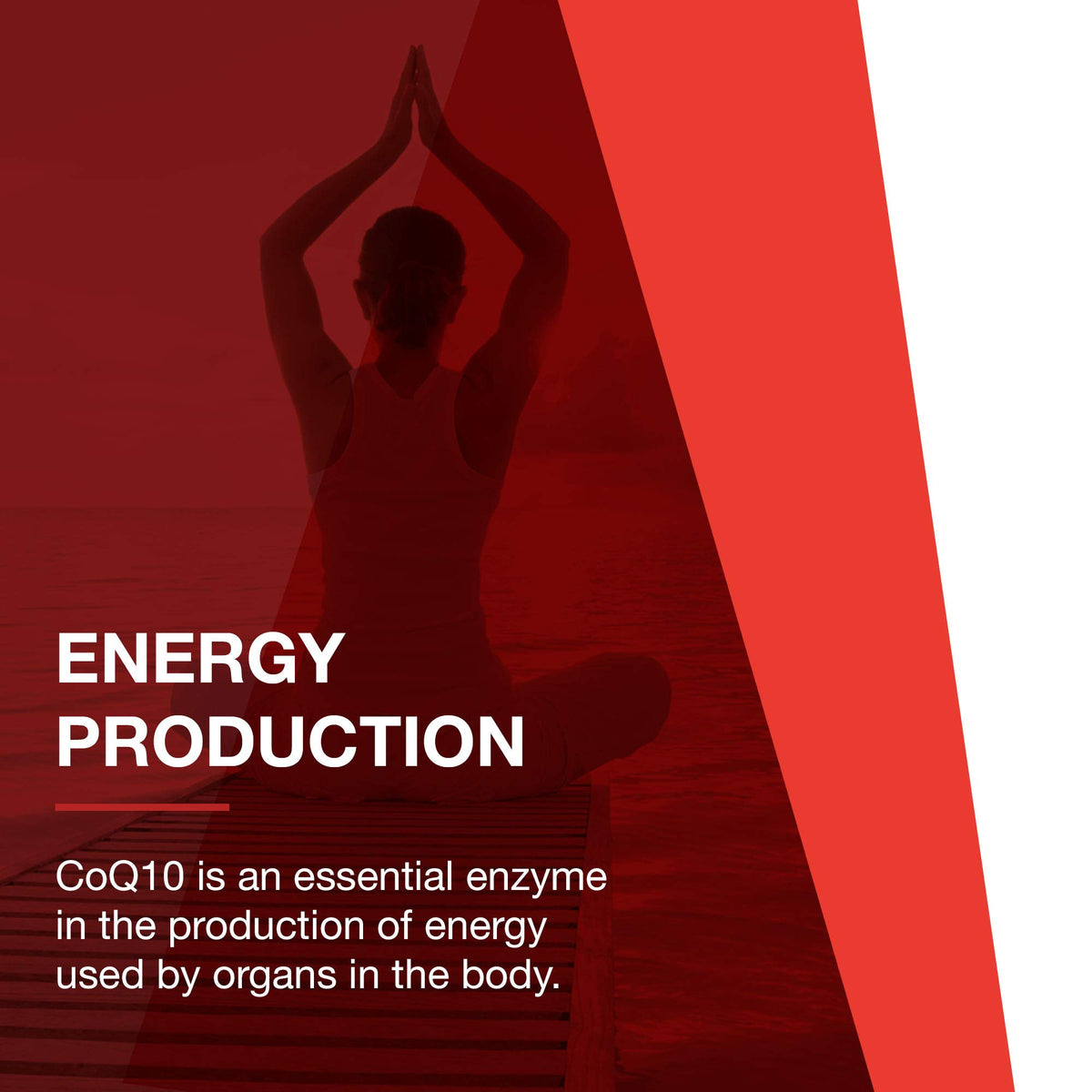 PROTOCOL FOR LIFE BALANCE Ubiquinol 200mg CoQ10 gélules avec verre d'eau