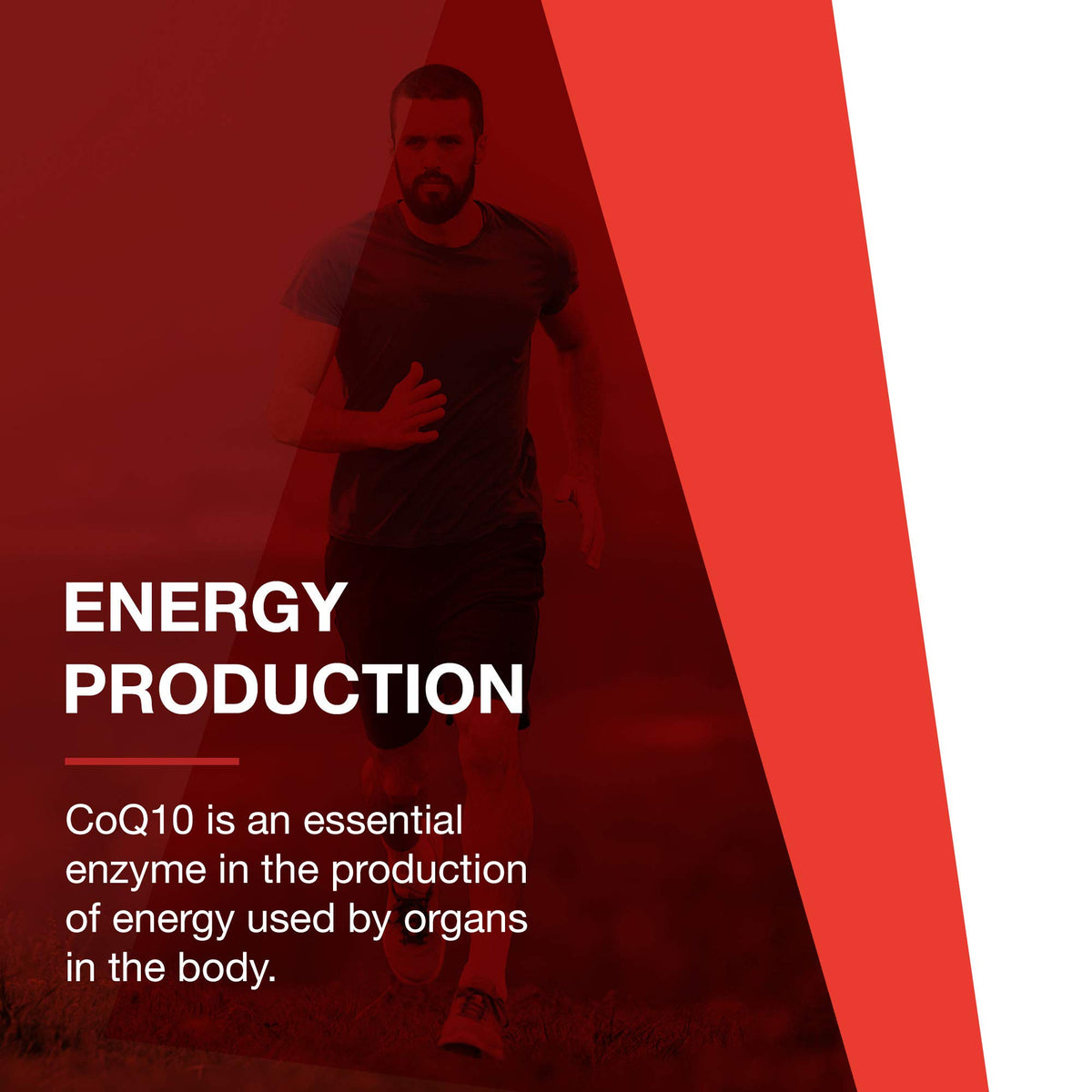 PROTOCOL FOR LIFE BALANCE Ubiquinol 200mg CoQ10 gélules côté