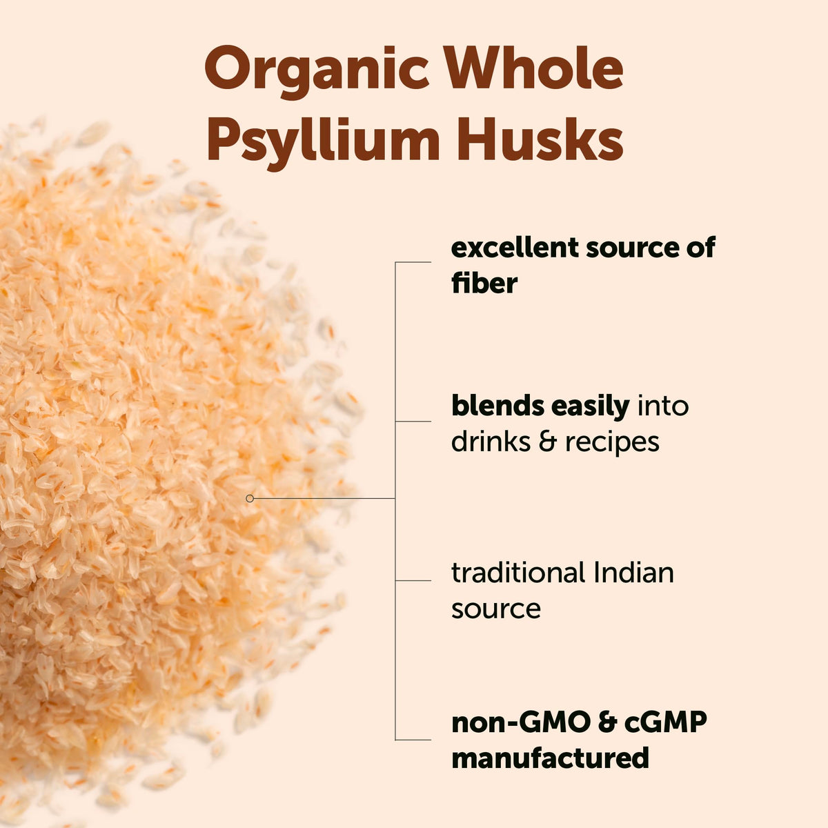 Psyllium entier bio Micro Ingredients dans un bol avec des flocons d'avoine