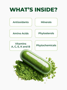 Pura Vida Moringa capsules bio sur un fond naturel