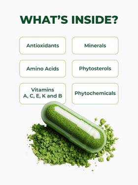PURA VIDA MORINGA, vue des capsules sur une table