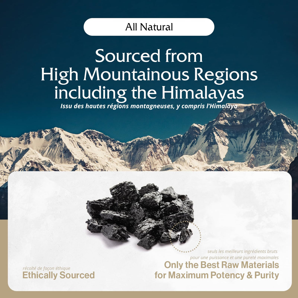 Pürblack Résine de Shilajit Pure 82g avec certificat d'analyse