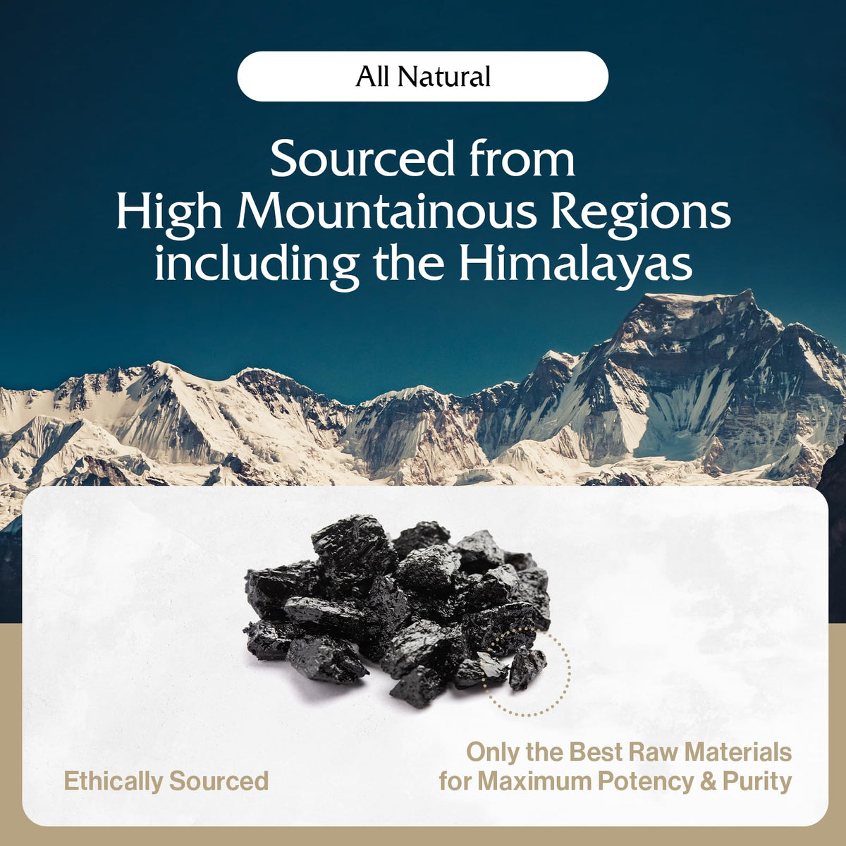 Pürblack Résine de Shilajit Pure 82g avec une cuillère de dosage