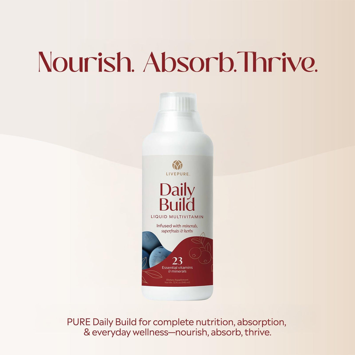 PURE Daily Build Complément Multivitaminé sur fond blanc
