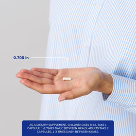 Pure Encapsulations L-Theanine 120 capsules en contexte de vie