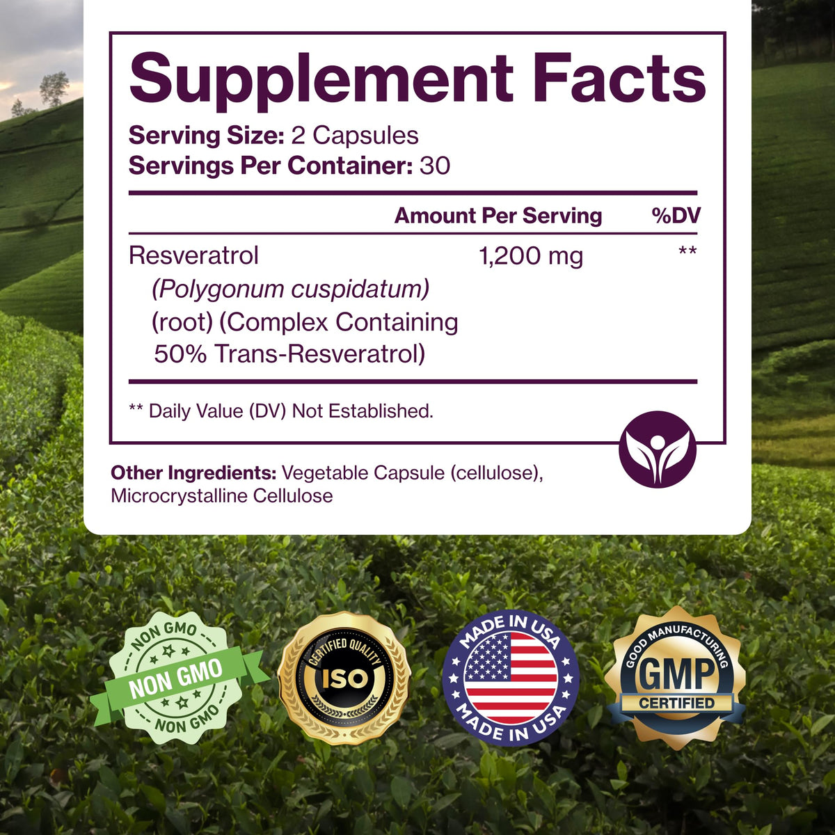 Pure Resveratrol 600mg avec racine de Polygonum Cuspidatum en arrière-plan