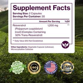 Pure Resveratrol 600mg avec racine de Polygonum Cuspidatum en arrière-plan