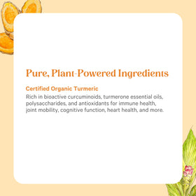 PURE SYNERGY Curcuma 60 capsules avec des ingrédients