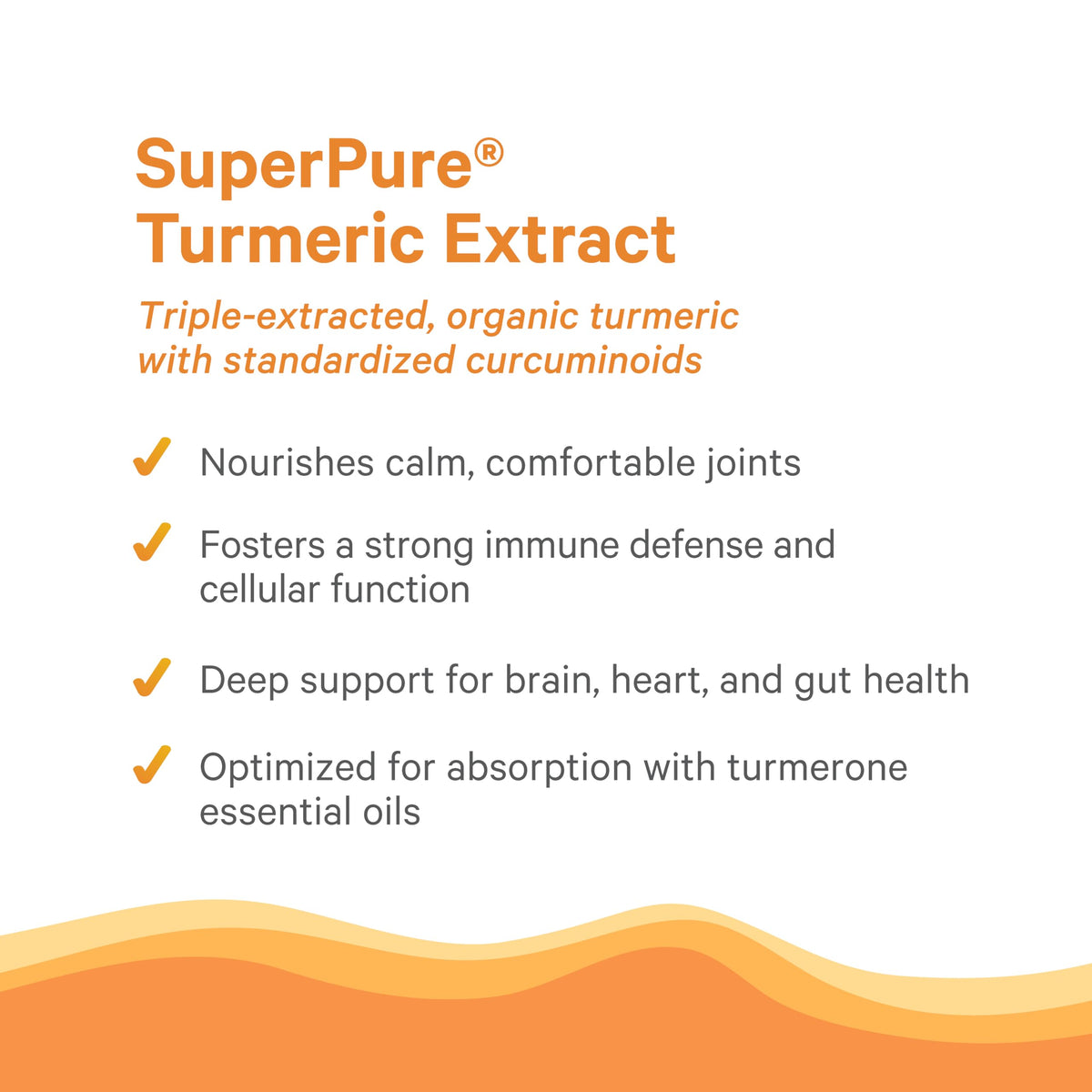 PURE SYNERGY Curcuma 60 capsules ouvertes