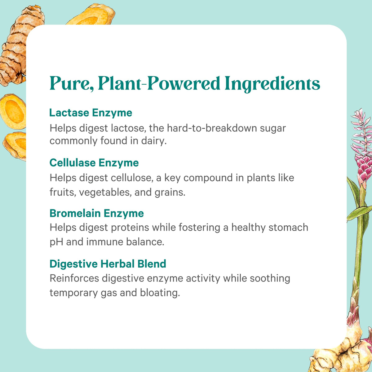 PURE SYNERGY Enzymes daily sur un fond neutre