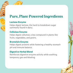 PURE SYNERGY Enzymes daily sur un fond neutre