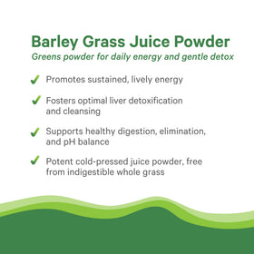 PURE SYNERGY Poudre de Jus d'Orge Bio dans un smoothie