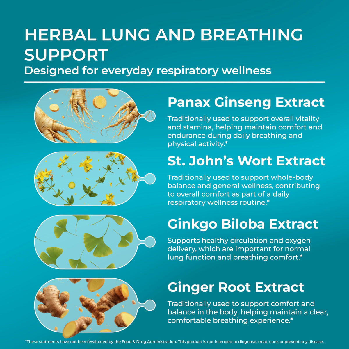 PUREHEALTH RESEARCH BreatheCore capsules végétariennes dans une main