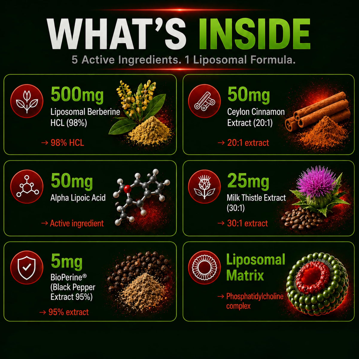 PURETREX Berberine HCl 500mg Capsules côté avec étiquette visible