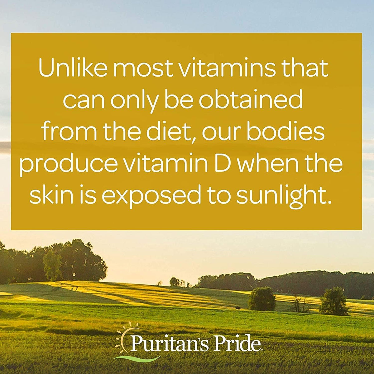 Puritan's Pride Vitamine D3 100 comprimés, vue en action sur un bureau