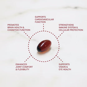 Purity Products Krill Omega 50 étiquette avec ingrédients