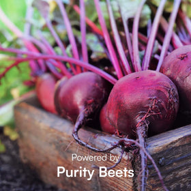 Purity Products Perfect Purples en préparation de boisson