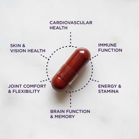 Purity Products Super Pill - vue arrière de l'emballage