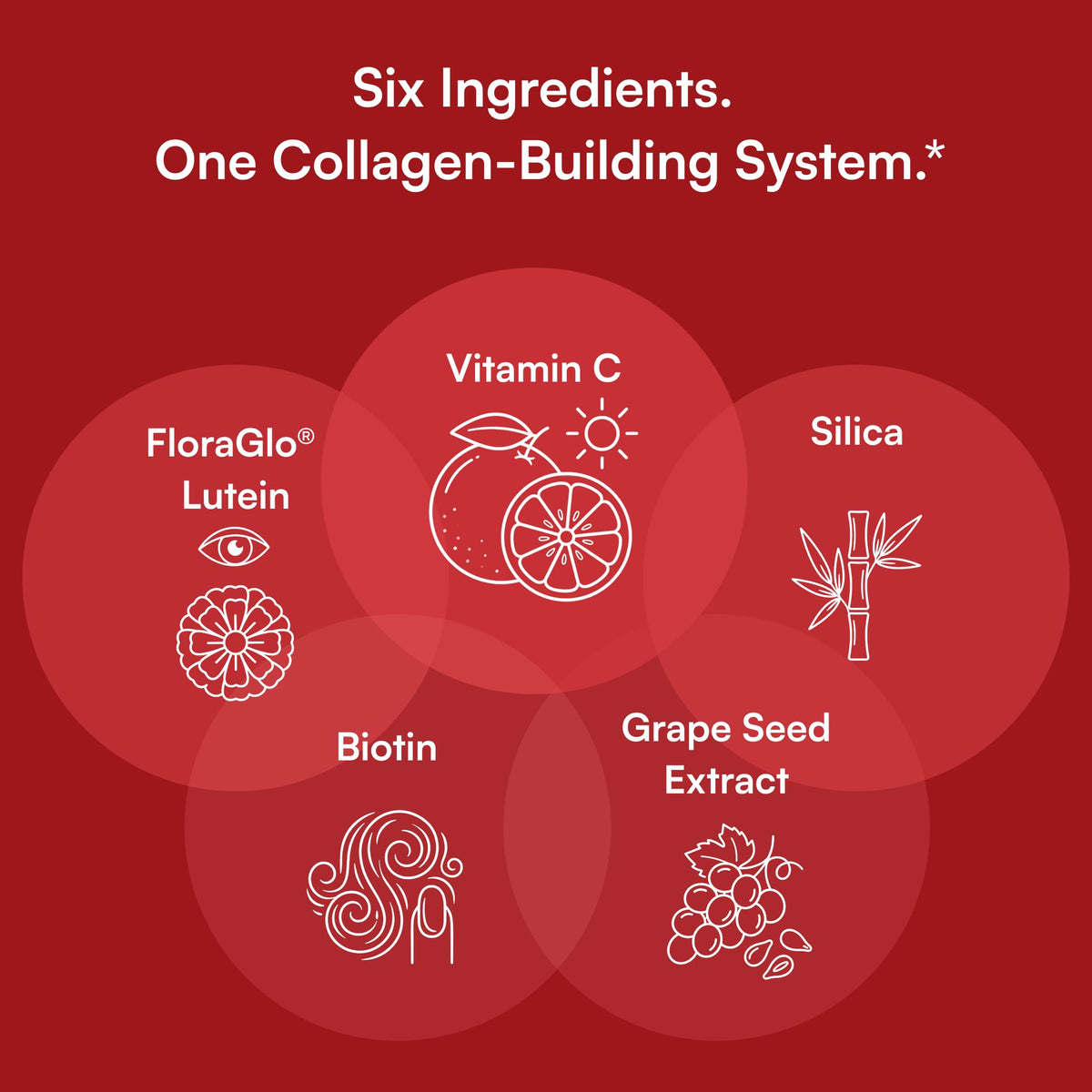 Purity Products Vegan Collagen Builder 68 g, emballage